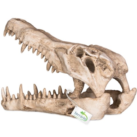 Terrario Crocodile Skull XL - czaszka krokodyla do terrarium 23x11x16 cm Terrario Terrario Crocodile Skull XL - czaszka krokodyla do terrarium 23x11x16 cm Terrario