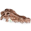Terrario Crocodile Skull - czaszka krokodyla do terrarium 30x14x9 cm Terrario