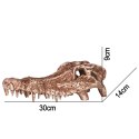 Terrario Crocodile Skull - czaszka krokodyla do terrarium 30x14x9 cm Terrario