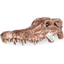 Terrario Crocodile Skull - czaszka krokodyla do terrarium 30x14x9 cm Terrario