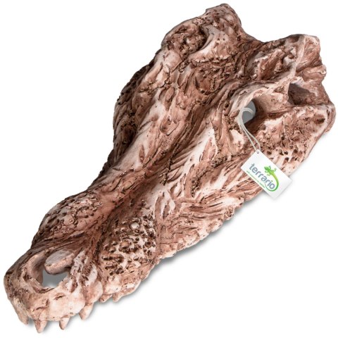 Terrario Crocodile Skull - czaszka krokodyla do terrarium 30x14x9 cm Terrario Terrario Crocodile Skull - czaszka krokodyla do terrarium 30x14x9 cm Terrario