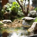Terrario Crocodile Skull - czaszka krokodyla do terrarium 30x14x9 cm Terrario
