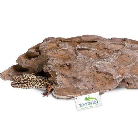 Terrario Dragon Stone S - kryjówka do terrarium 22x12x7cm Terrario Terrario Dragon Stone S - kryjówka do terrarium 22x12x7cm Terrario