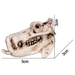 Terrario Hippo Skull - czaszka hipopotama do terrarium 5x3x3 cm Terrario