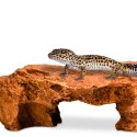 Terrario Mountain Shelf M - kryjówka do terrarium 22x17x8,5cm Terrario Terrario Mountain Shelf M - kryjówka do terrarium 22x17x8,5cm Terrario