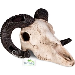 Terrario Ram Skull - czaszka barana do terrarium 19x16x11 cm Terrario