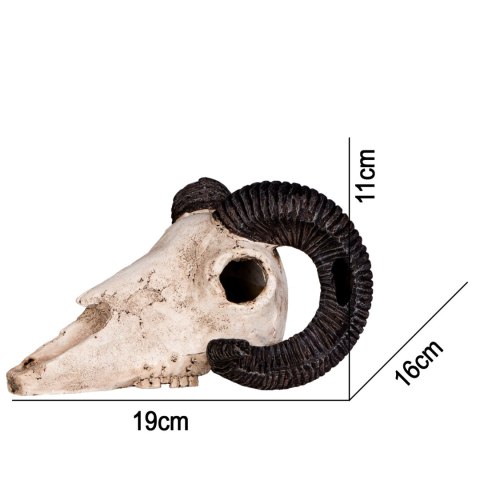 Terrario Ram Skull - czaszka barana do terrarium 19x16x11 cm Terrario Terrario Ram Skull - czaszka barana do terrarium 19x16x11 cm Terrario