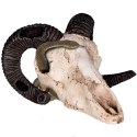 Terrario Ram Skull - czaszka barana do terrarium 19x16x11 cm Terrario