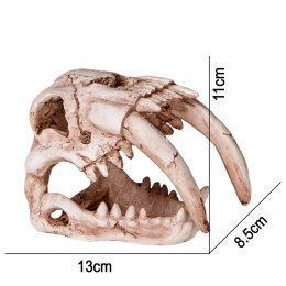 Terrario Sabertooth Skull - czaszka tygrysa do terrarium 13x8,5x11 cm Terrario