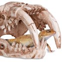 Terrario Sabertooth Skull - czaszka tygrysa do terrarium 13x8,5x11 cm Terrario