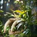 Terrario Sabertooth Skull - czaszka tygrysa do terrarium 13x8,5x11 cm Terrario