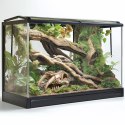 Terrario Sabertooth Skull - czaszka tygrysa do terrarium 13x8,5x11 cm Terrario