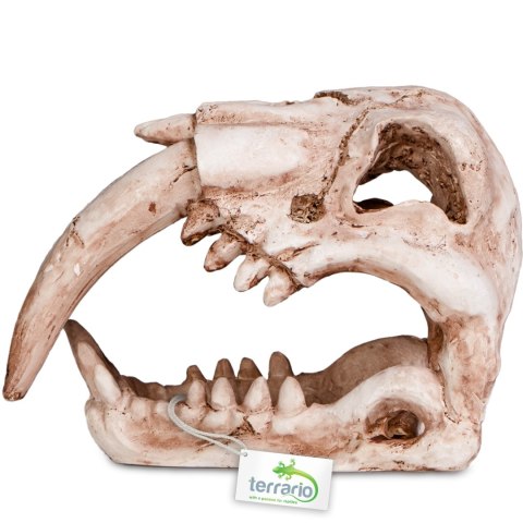 Terrario Sabertooth Skull - czaszka tygrysa do terrarium 13x8,5x11 cm Terrario Terrario Sabertooth Skull - czaszka tygrysa do terrarium 13x8,5x11 cm Terrario
