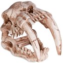 Terrario Sabertooth Skull - czaszka tygrysa do terrarium 13x8,5x11 cm Terrario