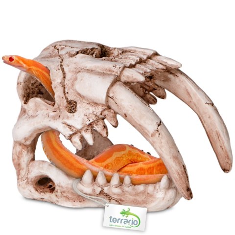 Terrario Sabertooth Skull - czaszka tygrysa do terrarium 13x8,5x11 cm Terrario Terrario Sabertooth Skull - czaszka tygrysa do terrarium 13x8,5x11 cm Terrario