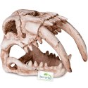 Terrario Sabertooth Skull - czaszka tygrysa do terrarium 13x8,5x11 cm Terrario