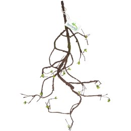 Terrario - Sztuczna Gałąź Dekoracyjna z Pędami do Terrarium - 100 cm Terrario