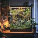 Terrario - Sztuczna Gałąź Dekoracyjna z Pędami do Terrarium - 100 cm Terrario