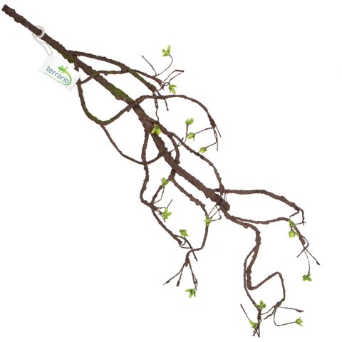Terrario - Sztuczna Gałąź Dekoracyjna z Pędami do Terrarium - 100 cm Terrario Terrario - Sztuczna Gałąź Dekoracyjna z Pędami do Terrarium - 100 cm Terrario
