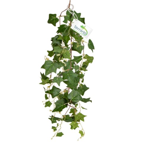 Terrario - Sztuczna Roślina do Terrarium - Bluszcz Zwisający 75 cm Terrario