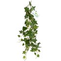 Terrario - Sztuczna Roślina do Terrarium - Bluszcz Zwisający 75 cm Terrario