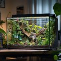 Terrario - Sztuczna Roślina do Terrarium - Bluszcz Zwisający 75 cm Terrario