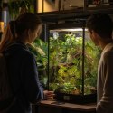 Terrario - Sztuczna Roślina do Terrarium - Wisząca Monstera 70 cm Terrario