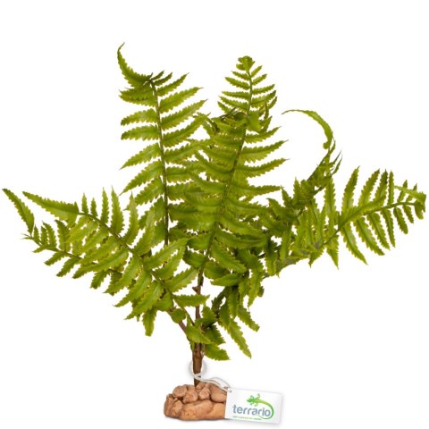 Terrario - Sztuczna roślina do terrarium - Paproć 32x15x32 cm Terrario Terrario - Sztuczna roślina do terrarium - Paproć 32x15x32 cm Terrario