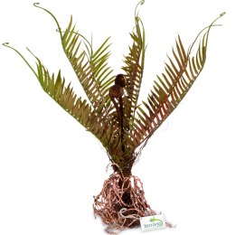 Terrario - Sztuczna roślina do terrarium - Paproć 40x14x41 cm Terrario