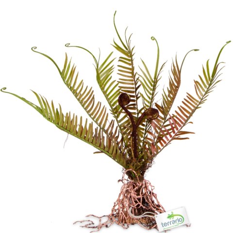 Terrario - Sztuczna roślina do terrarium - Paproć 40x14x41 cm Terrario Terrario - Sztuczna roślina do terrarium - Paproć 40x14x41 cm Terrario