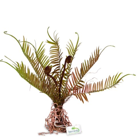 Terrario - Sztuczna roślina do terrarium - Paproć 40x14x41 cm Terrario Terrario - Sztuczna roślina do terrarium - Paproć 40x14x41 cm Terrario