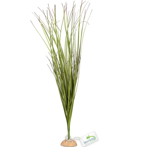 Terrario - Sztuczna roślina do terrarium i akwarium - Wysoka trawa 15x7x41 cm Terrario