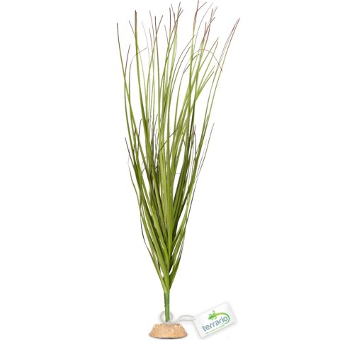 Terrario - Sztuczna roślina do terrarium i akwarium - Wysoka trawa 15x7x41 cm Terrario Terrario - Sztuczna roślina do terrarium i akwarium - Wysoka trawa 15x7x41 cm Terrario