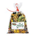 Alegia - mieszanka ziół i owadów dla Agamy Brodatej 40g Alegia