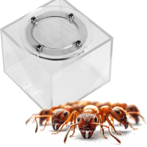 Ant Expert New Land - arena moduł do formikarium Ant Expert Ant Expert New Land - arena moduł do formikarium Ant Expert