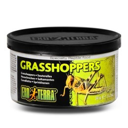 EXO TERRA Grasshoppers - pokarm w puszce konik polny Exo terra