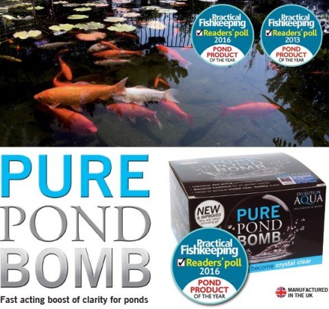 Evolution Aqua PURE Pond Bomb - bakterie do oczka Evolution Evolution Aqua PURE Pond Bomb - bakterie do oczka Evolution