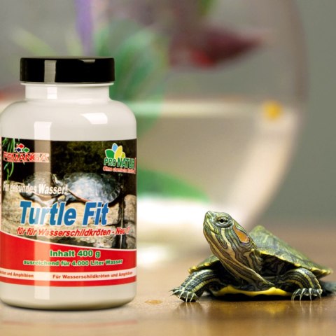 Femanga Turtle Fit - preparat na niedobory witamin i minerałów 400g Femanga Femanga Turtle Fit - preparat na niedobory witamin i minerałów 400g Femanga