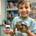 Femanga Turtle Fit - preparat na niedobory witamin i minerałów 400g Femanga