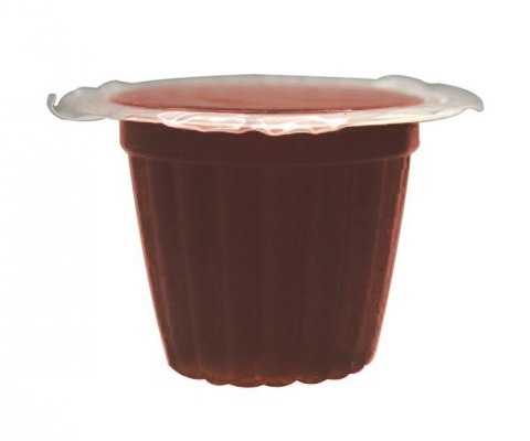 Komodo Jelly Pot Brown Sugar- pokarm brązowy cukier w żelu Komodo