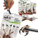 Probugs Big Reptiles Set - zestaw robaków dla dużych gadów ProBugs