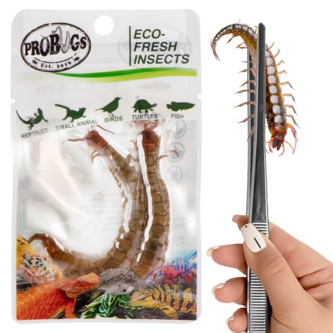 Probugs Big Reptiles Set - zestaw robaków dla dużych gadów ProBugs Probugs Big Reptiles Set - zestaw robaków dla dużych gadów ProBugs