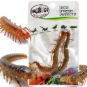 Probugs Big Reptiles Set - zestaw robaków dla dużych gadów ProBugs