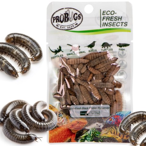 Probugs Crested Gecko Set Plus - kompletna dieta dla gekonów orzęsionych robaki i żel z witaminami ProBugs Probugs Crested Gecko Set Plus - kompletna dieta dla gekonów orzęsionych robaki i żel z witaminami ProBugs