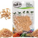 Probugs Crested Gecko Set Plus - kompletna dieta dla gekonów orzęsionych robaki i żel z witaminami ProBugs