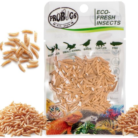 Probugs Crested Gecko Set Plus - kompletna dieta dla gekonów orzęsionych robaki i żel z witaminami ProBugs Probugs Crested Gecko Set Plus - kompletna dieta dla gekonów orzęsionych robaki i żel z witaminami ProBugs