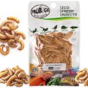 Probugs Crested Gecko Set Plus - kompletna dieta dla gekonów orzęsionych robaki i żel z witaminami ProBugs