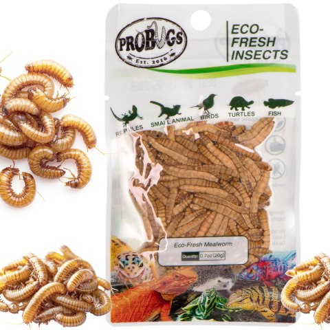 Probugs Crested Gecko Set Plus - kompletna dieta dla gekonów orzęsionych robaki i żel z witaminami ProBugs Probugs Crested Gecko Set Plus - kompletna dieta dla gekonów orzęsionych robaki i żel z witaminami ProBugs