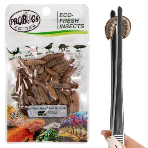 Probugs Crested Gecko Set Plus - kompletna dieta dla gekonów orzęsionych robaki i żel z witaminami ProBugs Probugs Crested Gecko Set Plus - kompletna dieta dla gekonów orzęsionych robaki i żel z witaminami ProBugs