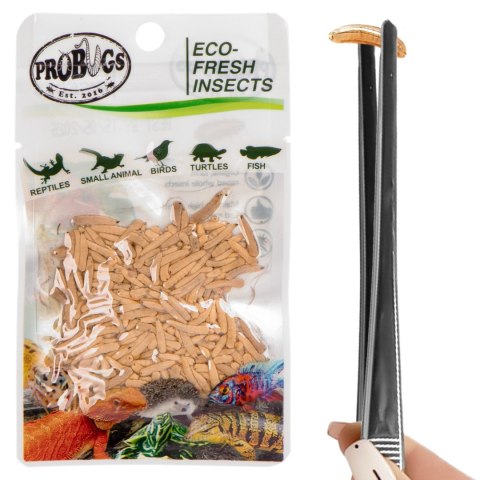 Probugs Small Gecko and Amphibians Set - zestaw dla małych gadów i płazów Probugs Small Gecko and Amphibians Set - zestaw dla małych gadów i płazów